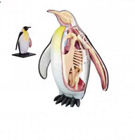 Modelo de pinguino 4D Desmontable MVZ
