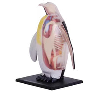 Modelo de pinguino 4D Desmontable MVZ
