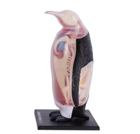 Modelo de pinguino 4D Desmontable MVZ
