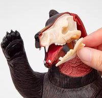 Modelo Oso polar negro MVZ
