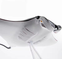 Modelo de mantarraya 4D

