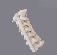 Simulador cirugias de Ligamentos Ortopedia Trauma
