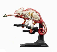 Modelo de lagarto cocodrilo o gecko MVZ
