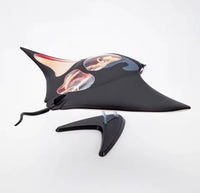 Modelo de mantarraya 4D
