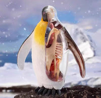 Modelo de pinguino 4D Desmontable MVZ
