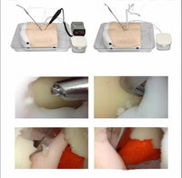 Simulador de espalda columna en tecnologia HD endoscópica UBE cirugía endoscopica lumbar
