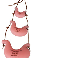 Modelo estomago lactancia recien nacido