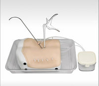 Simulador de espalda columna en tecnologia HD endoscópica UBE cirugía endoscopica lumbar
