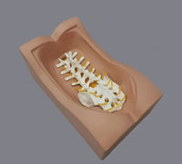 Simulador cirugias de Ligamentos Ortopedia Trauma
