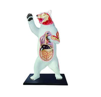 Modelo Oso polar negro MVZ
