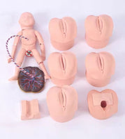 Simulador de parto avanzado Dilatacion Cervical
