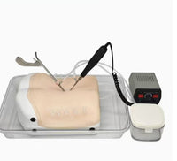 Simulador de espalda columna en tecnologia HD endoscópica UBE cirugía endoscopica lumbar
