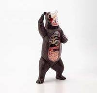 Modelo Oso polar negro MVZ
