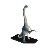 Modelo de Dinosaurio Trex MVZ
