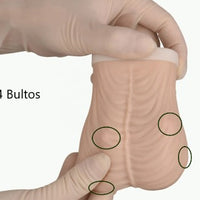 Modelo de examen de testiculos