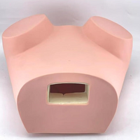 Modelo de examen ginecologico