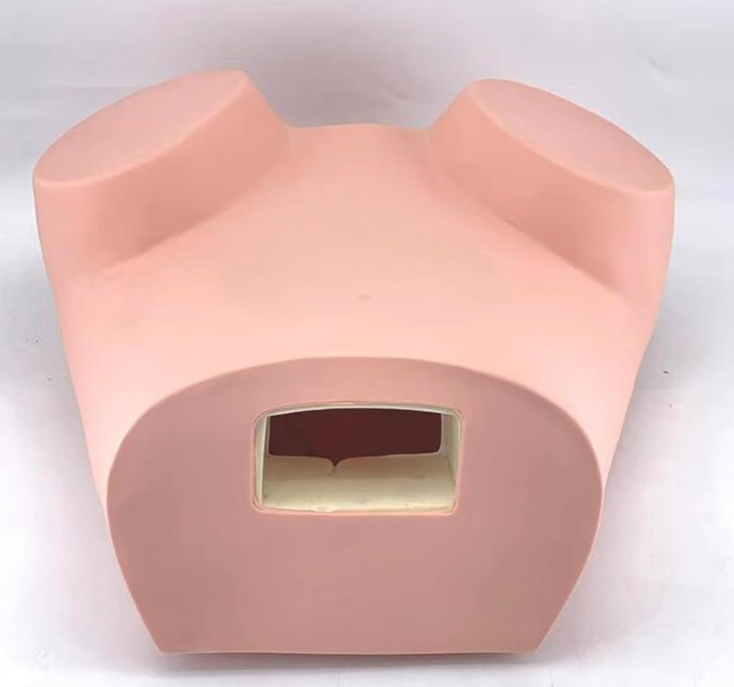 Modelo de examen ginecologico