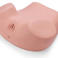 Modelo de examen ginecologico