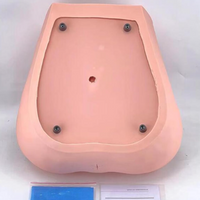 Modelo de examen ginecologico