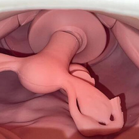 Modelo de examen ginecologico