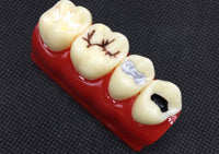 Modelo de empaste dental
