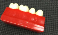 Modelo de empaste dental
