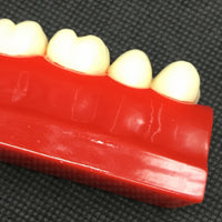 Modelo de empaste dental