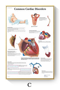 Póster de patologías humanas 