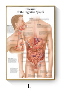 Póster de patologías humanas 