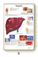 Póster de patologías humanas 
