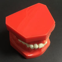 Modelo de reemplazo de dientes caducifolios para niños
