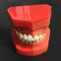 Modelo de reemplazo de dientes caducifolios para niños
