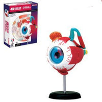 Modelo Anatomico 4D, de ojo humano