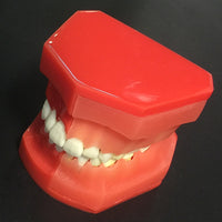 Modelo de reemplazo de dientes caducifolios para niños
