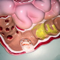 Modelo anatómico colorectal