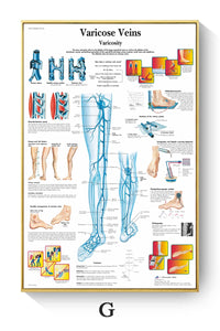 Póster de patologías humanas 