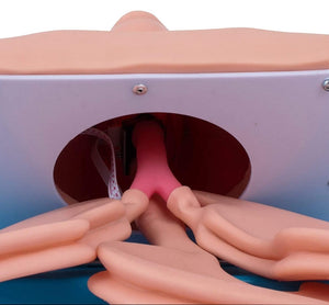 Modelo de intubacion traqueal traqueotomia