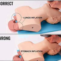 Modelo de intubacion traqueal traqueotomia-Adulto