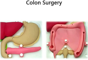 Modelo laparoscopia endoscopia de Silicon