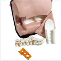 Simulador de columna anestesia espinal epidural