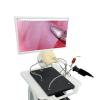 Simulador Neurocirugia endoscopia nasal craneo y cerebro - HD Video avanzado