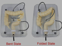 Simulador de colonoscopia Entrenamiento laparoscopia colon
