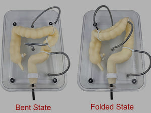 Simulador de colonoscopia Entrenamiento laparoscopia colon