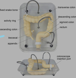 Simulador de colonoscopia Entrenamiento laparoscopia colon