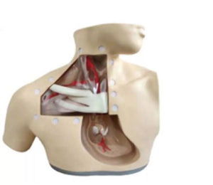 Modelo anatomico simulador alimentacion parenteral