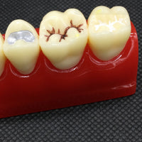 Modelo de empaste dental