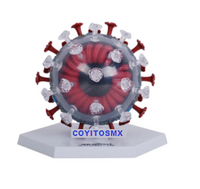 Modelo anatomico de coronavirus COVID-19  SARS-2  corona virus 50 Pzas desmontable
