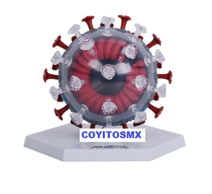 Modelo anatomico de coronavirus COVID-19  SARS-2  corona virus 50 Pzas desmontable