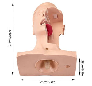 Modelo de Entrenamiento de intubacion Oral de cavidad Nasal - Simuladores traqueal