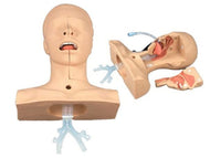 Modelo de Entrenamiento de intubacion Oral de cavidad Nasal - Simuladores traqueal
